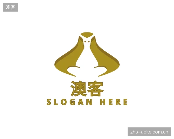 关于澳客公司